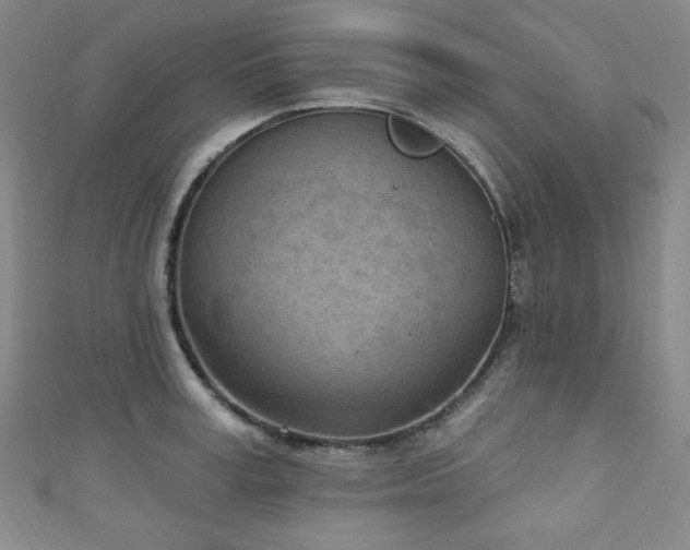 X0000111130995200906301206