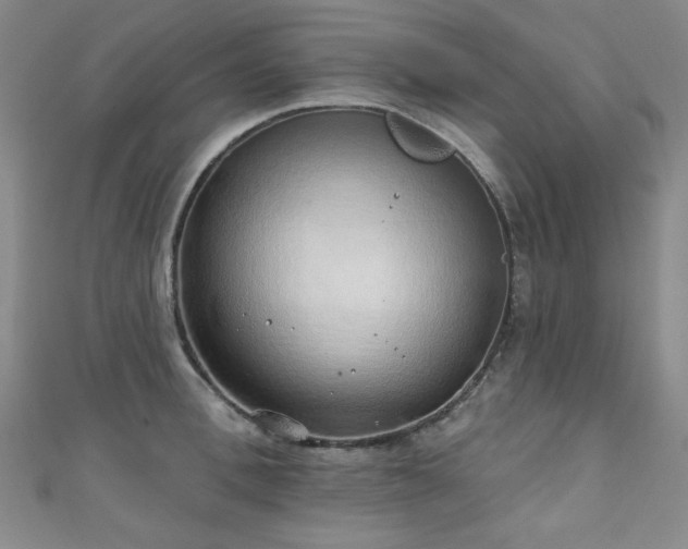 X0000111130996200906301206