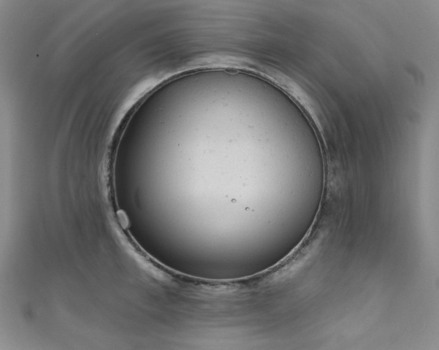 X0000111130997200906301206