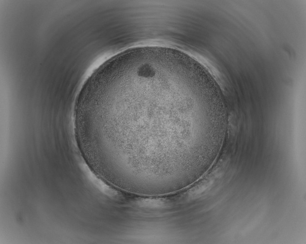 X0000111130998200906301206