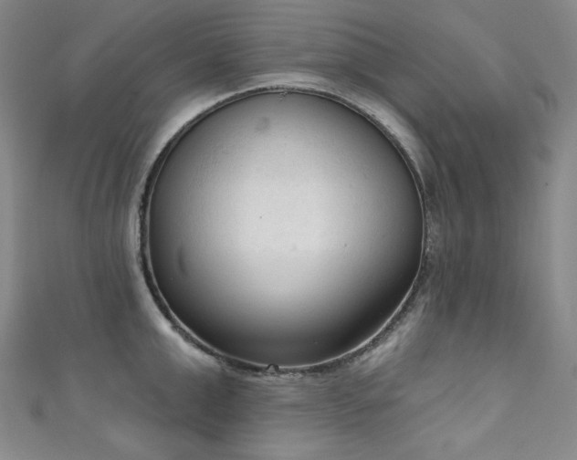 X0000111130999200906301206