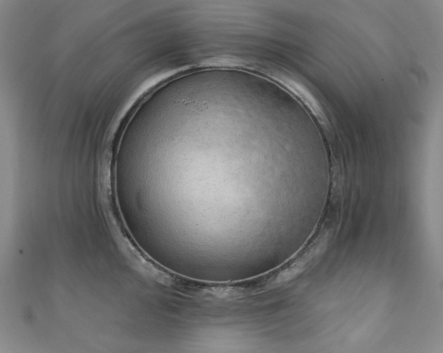 X0000111131000200906301206