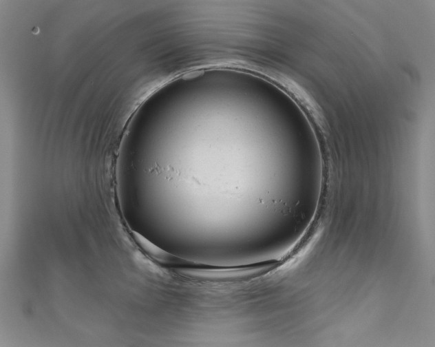 X0000111131001200906301206