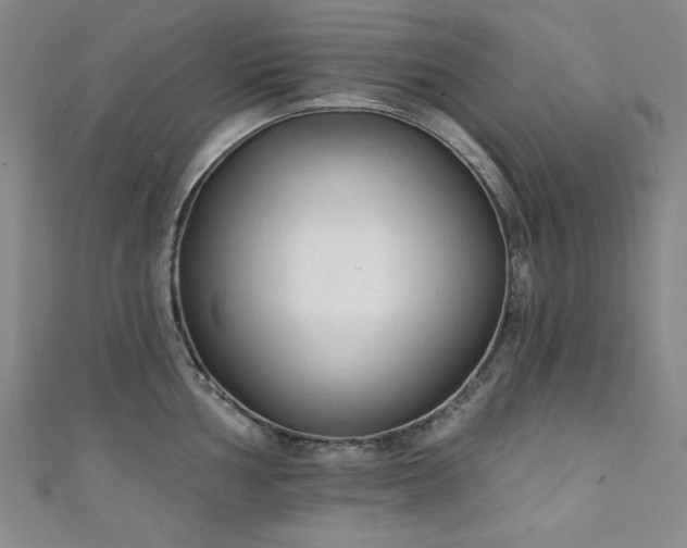 X0000111131002200906301206