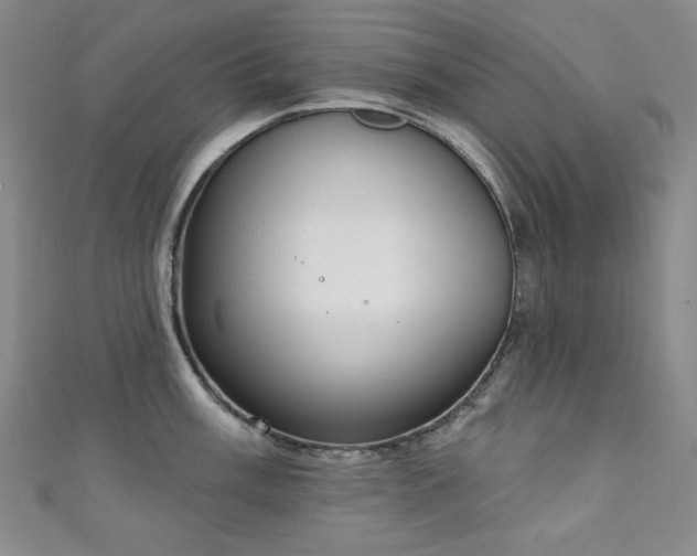 X0000111131003200906301206
