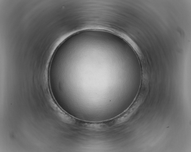 X0000111131004200906301206