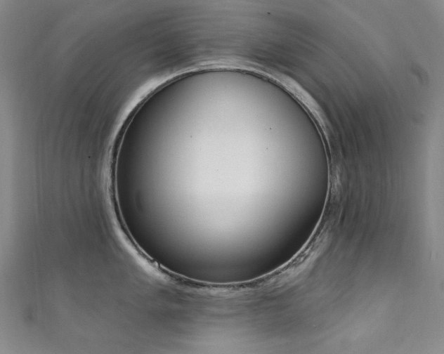 X0000111131005200906301206
