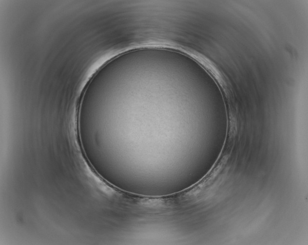 X0000111131006200906301206