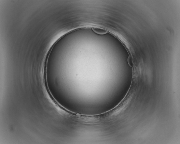 X0000111131007200906301206