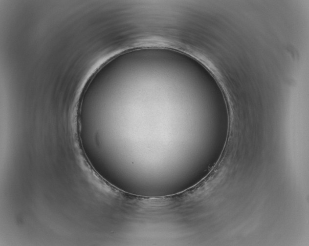 X0000111131008200906301206