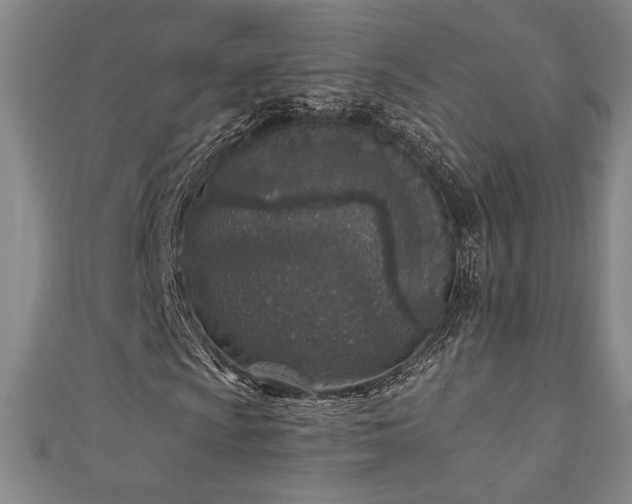 X0000111131009200906301205