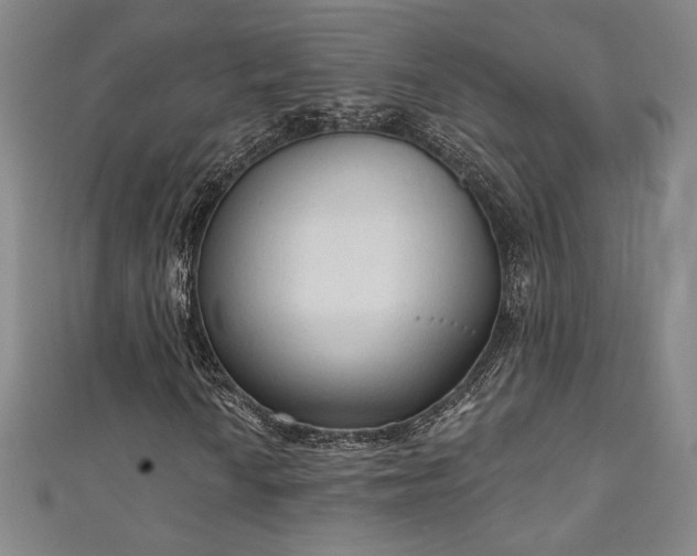 X0000111131010200906301205