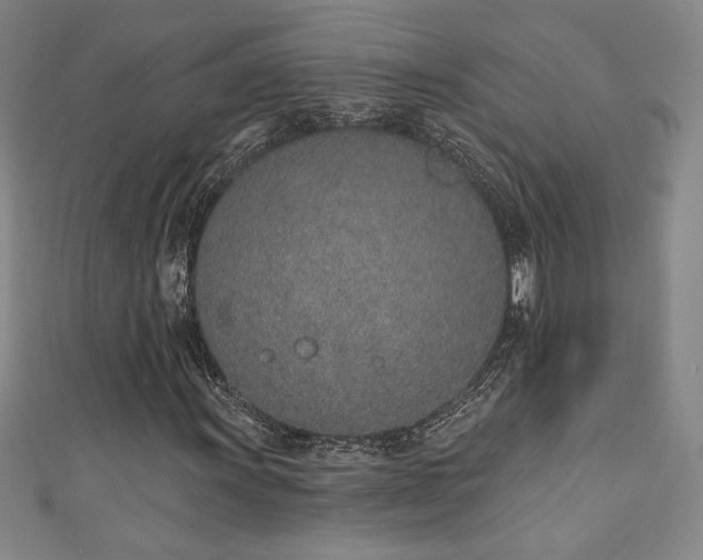 X0000111131011200906301206