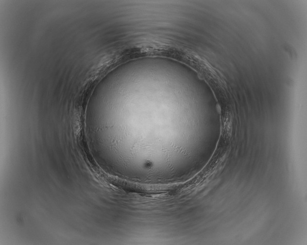 X0000111131012200906301206