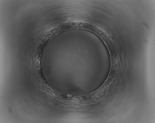 X0000111131013200906301206