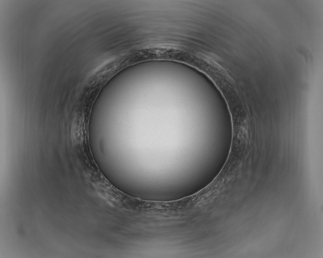 X0000111131014200906301206