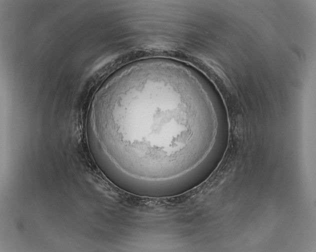 X0000111131015200906301206