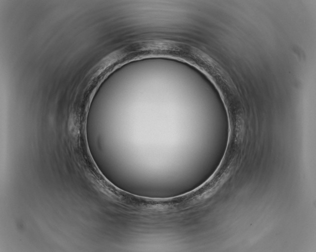X0000111131017200906301206