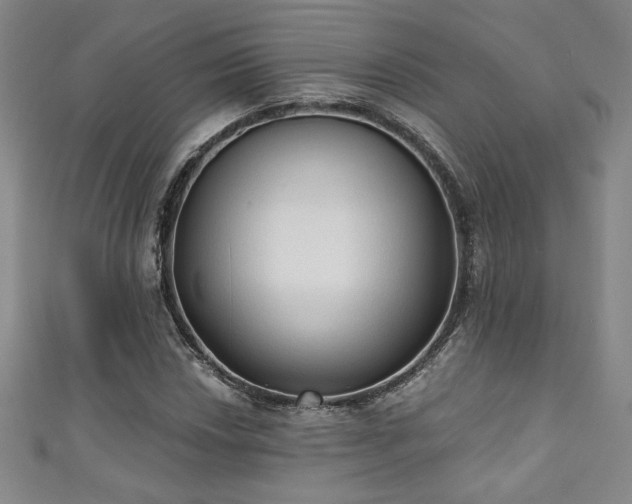 X0000111131018200906301206