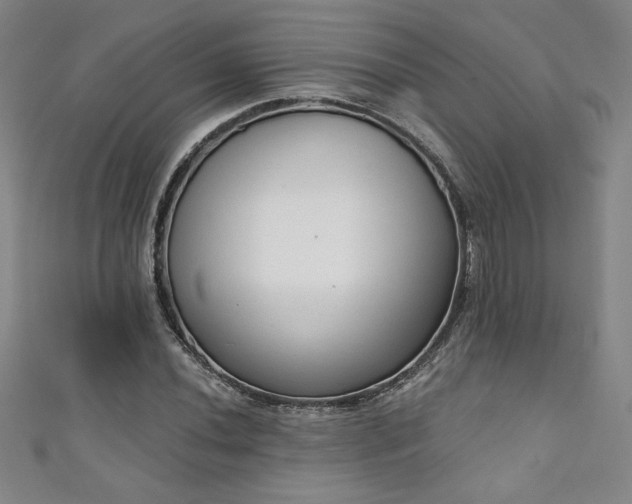 X0000111131020200906301206