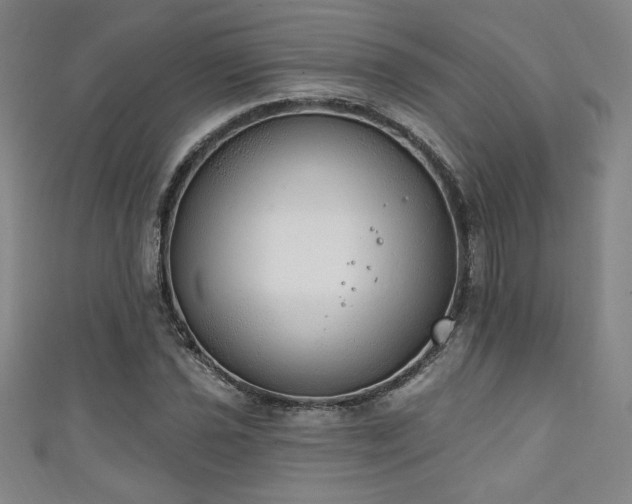 X0000111131021200906301206