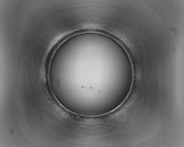 X0000111131022200906301206