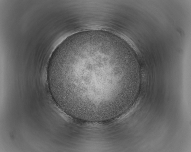 X0000111131023200906301206