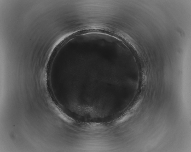 X0000111131024200906301206