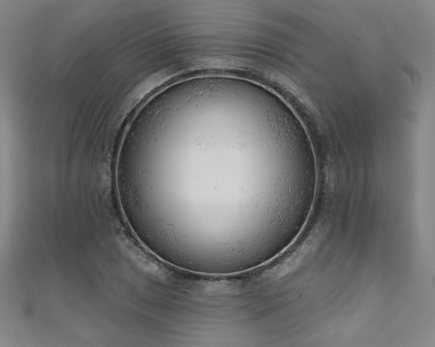 X0000111131025200906301206