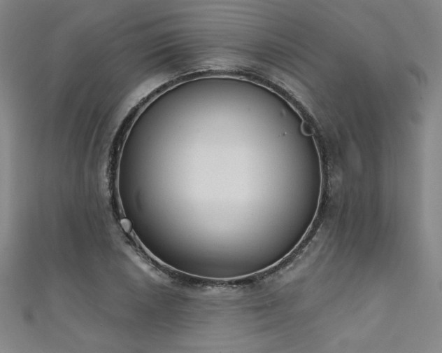 X0000111131026200906301206