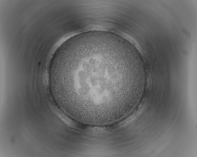 X0000111131027200906301206