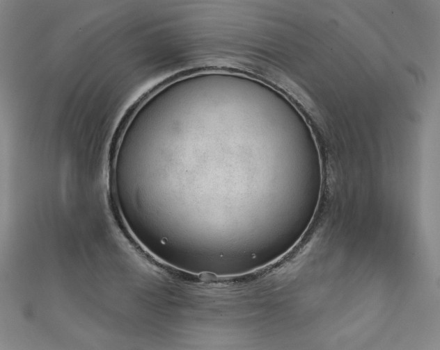 X0000111131028200906301206