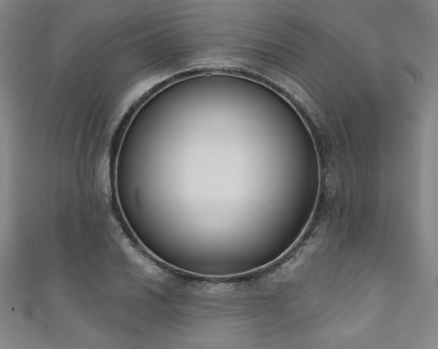 X0000111131030200906301206