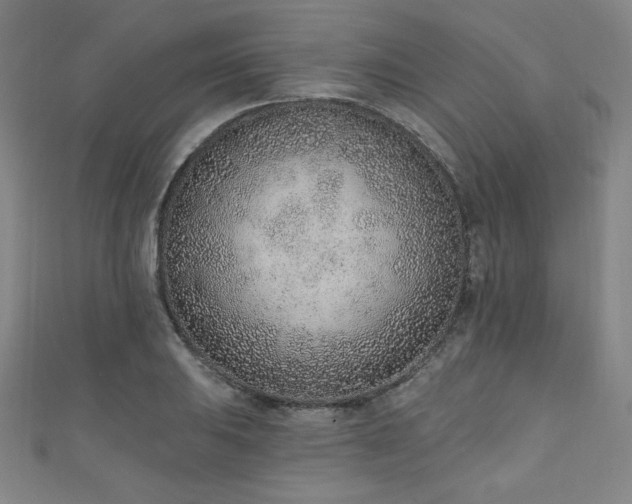X0000111131031200906301206