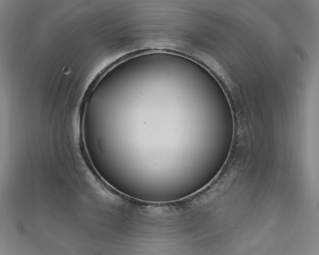 X0000111131032200906301206