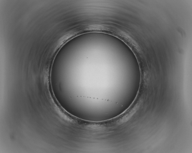 X0000111131033200906301206