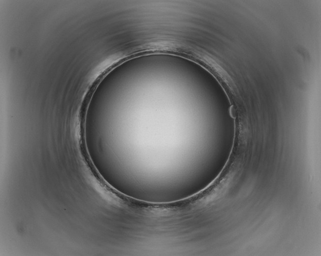 X0000111131034200906301206