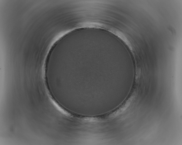 X0000111131037200906301206