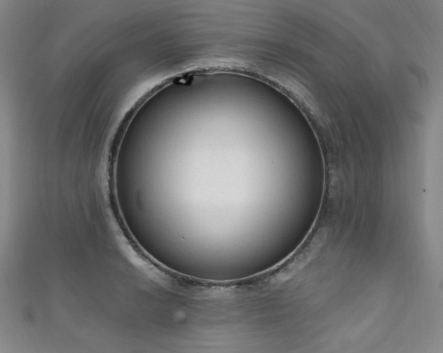 X0000111131038200906301206