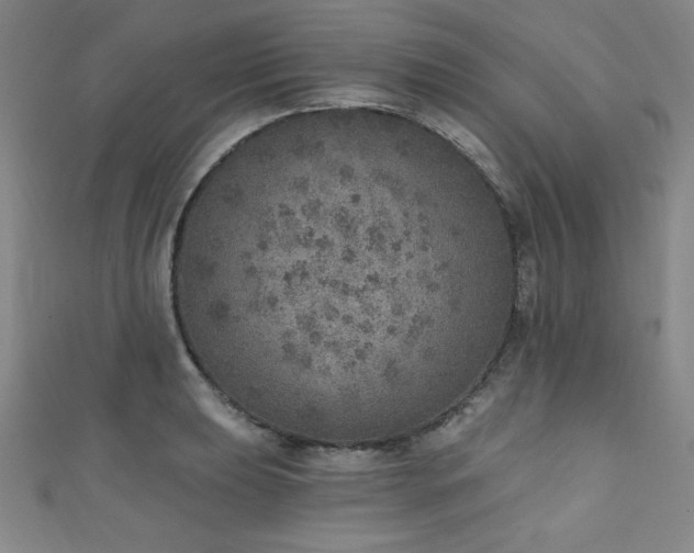 X0000111131039200906301206