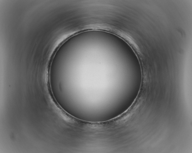X0000111131040200906301206