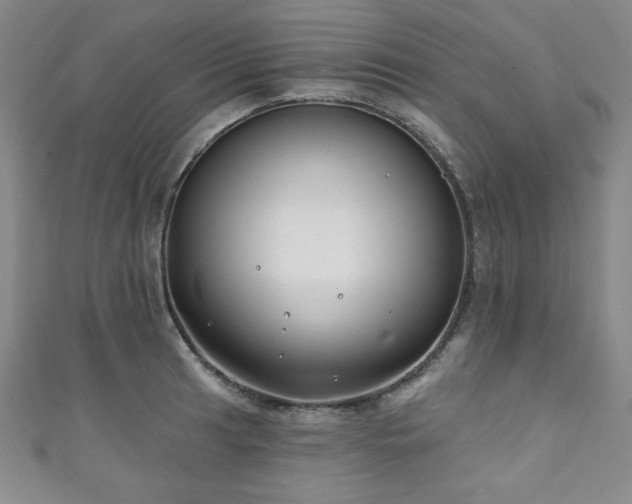 X0000111131041200906301206