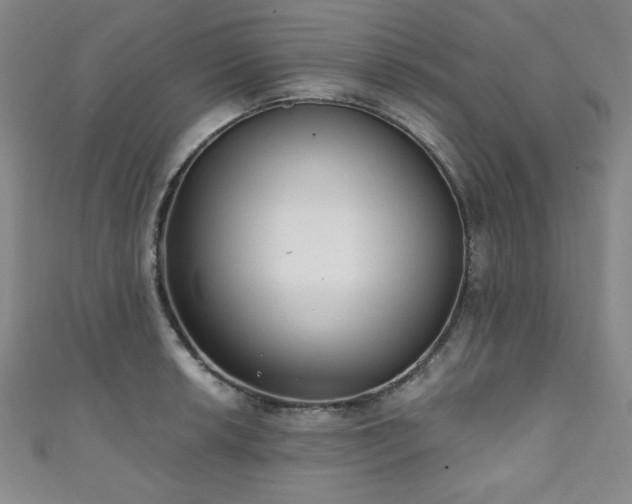 X0000111131042200906301206