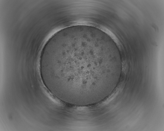 X0000111131043200906301206