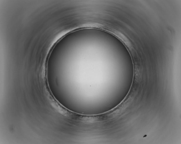 X0000111131044200906301206