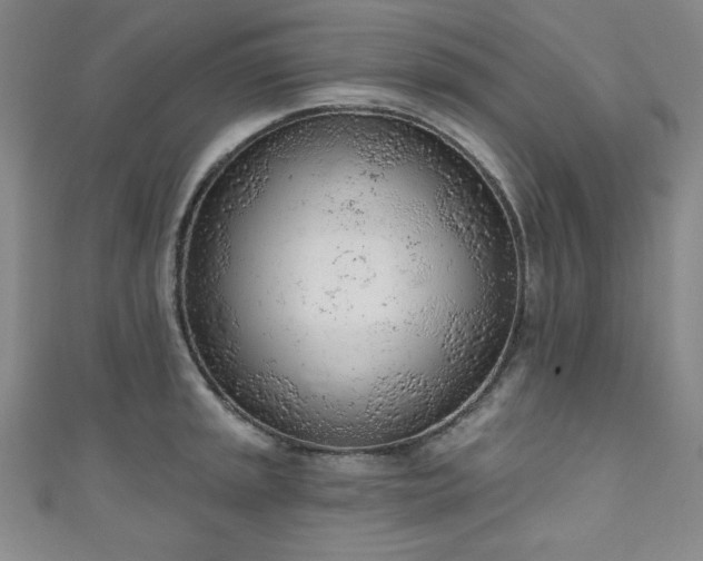 X0000111131045200906301206