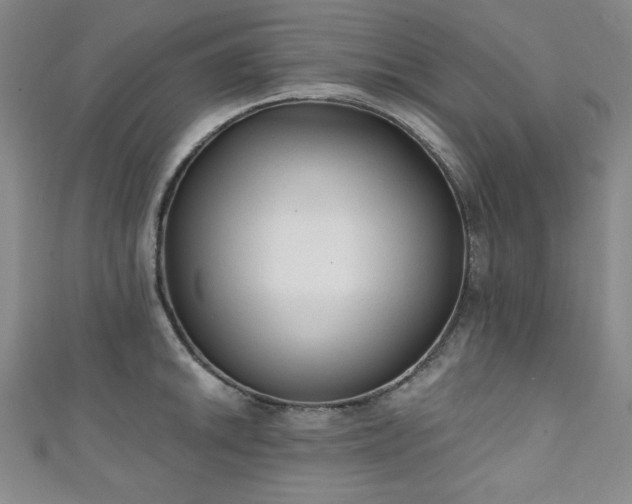 X0000111131046200906301206