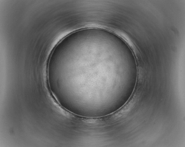 X0000111131048200906301206
