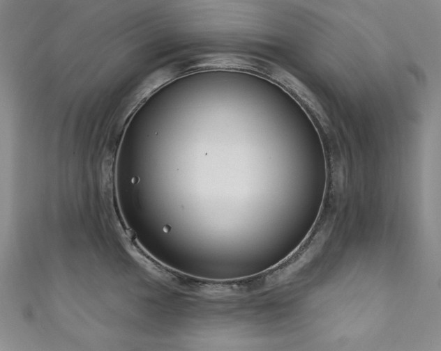 X0000111131049200906301206