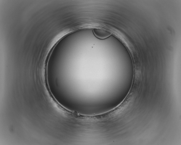 X0000111131050200906301206